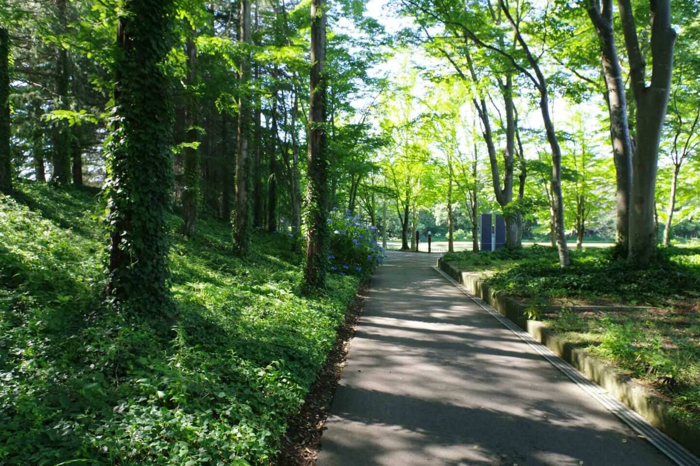 stanbery park